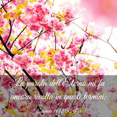 Picture 03 - Ezechiele 14:12 RIV - La parola dell’Eterno mi fu ancora rivolta in - Bible Verse Picture