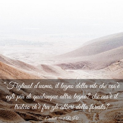 Picture 03 - Ezechiele 15:2 RIV - “Figliuol d’uomo, il legno della vite che - Bible Verse Picture