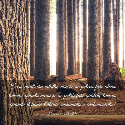 Picture 03 - Ezechiele 15:5 RIV - Ecco, mentr’era intatto, non se ne poteva fare - Bible Verse Picture