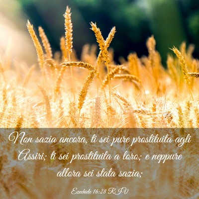 Picture 03 - Ezechiele 16:28 RIV - Non sazia ancora, ti sei pure prostituita agli - Bible Verse Picture