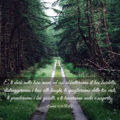Picture 03 - Ezechiele 16:39 RIV - E ti darò nelle loro mani, ed essi abbatteranno - Bible Verse Picture