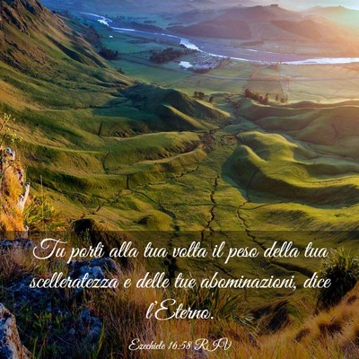 Picture 03 - Ezechiele 16:58 RIV - Tu porti alla tua volta il peso della tua - Bible Verse Picture