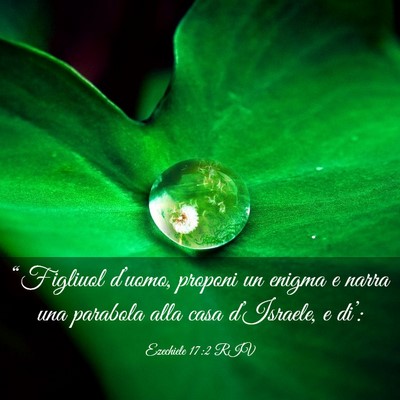 Picture 03 - Ezechiele 17:2 RIV - “Figliuol d’uomo, proponi un enigma e narra - Bible Verse Picture
