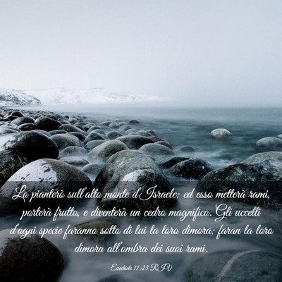 Picture 03 - Ezechiele 17:23 RIV - Lo pianterò sull’alto monte d’Israele; ed - Bible Verse Picture
