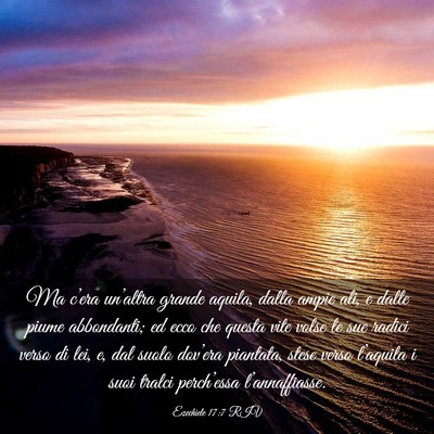 Picture 03 - Ezechiele 17:7 RIV - Ma c’era un’altra grande aquila, dalla ampie - Bible Verse Picture