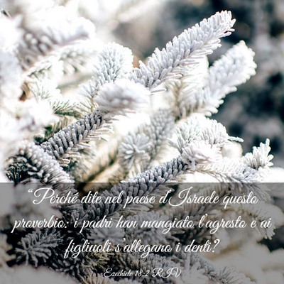 Picture 03 - Ezechiele 18:2 RIV - “Perché dite nel paese d’Israele questo - Bible Verse Picture