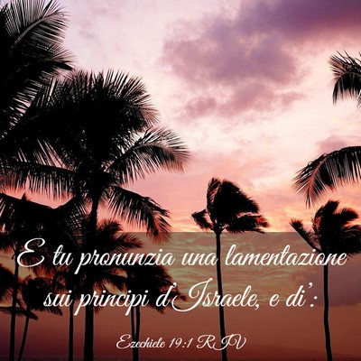 Picture 03 - Ezechiele 19:1 RIV - E tu pronunzia una lamentazione sui principi - Bible Verse Picture