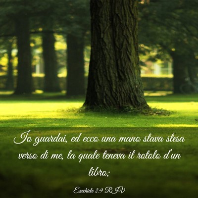 Picture 03 - Ezechiele 2:9 RIV - Io guardai, ed ecco una mano stava stesa verso di - Bible Verse Picture