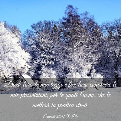 Picture 03 - Ezechiele 20:11 RIV - Diedi loro le mie leggi e feci loro conoscere le - Bible Verse Picture