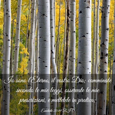Picture 03 - Ezechiele 20:19 RIV - Io sono l’Eterno, il vostro Dio; camminate - Bible Verse Picture