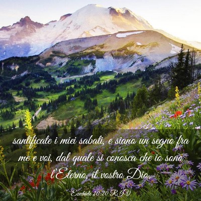 Picture 03 - Ezechiele 20:20 RIV - santificate i miei sabati, e siano un segno fra - Bible Verse Picture
