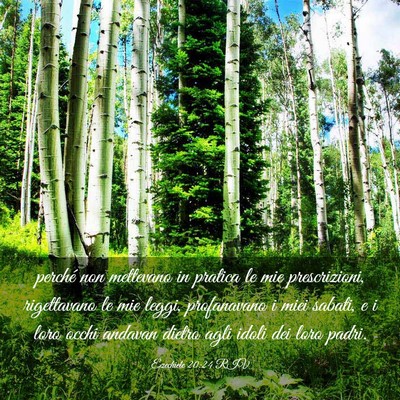 Picture 03 - Ezechiele 20:24 RIV - perché non mettevano in pratica le mie - Bible Verse Picture