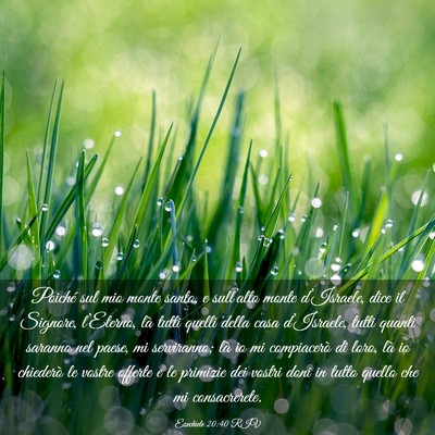 Picture 03 - Ezechiele 20:40 RIV - Poiché sul mio monte santo, e sull’alto monte - Bible Verse Picture
