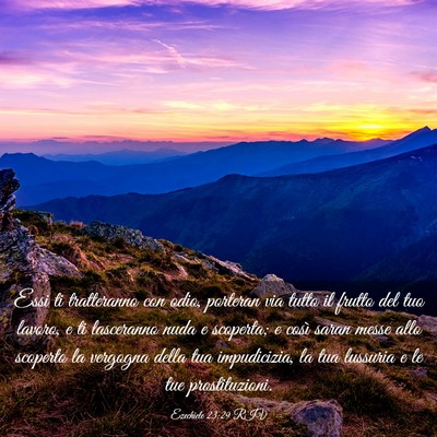 Picture 03 - Ezechiele 23:29 RIV - Essi ti tratteranno con odio, porteran via tutto - Bible Verse Picture