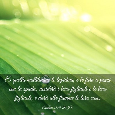 Picture 03 - Ezechiele 23:47 RIV - E quella moltitudine le lapiderà, e le farà a - Bible Verse Picture