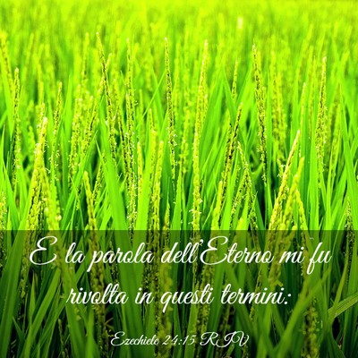 Picture 03 - Ezechiele 24:15 RIV - E la parola dell’Eterno mi fu rivolta in questi - Bible Verse Picture