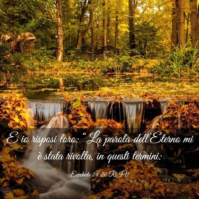 Picture 03 - Ezechiele 24:20 RIV - E io risposi loro: “La parola dell’Eterno mi - Bible Verse Picture