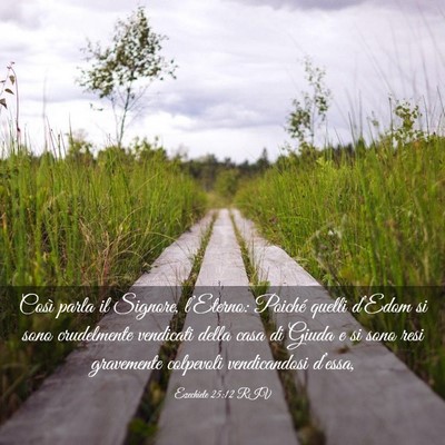 Picture 03 - Ezechiele 25:12 RIV - Così parla il Signore, l’Eterno: Poiché - Bible Verse Picture