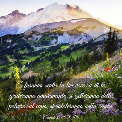 Picture 03 - Ezechiele 27:30 RIV - E faranno sentir la lor voce su di te; grideranno - Bible Verse Picture