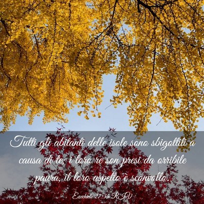 Picture 03 - Ezechiele 27:35 RIV - Tutti gli abitanti delle isole sono sbigottiti a - Bible Verse Picture