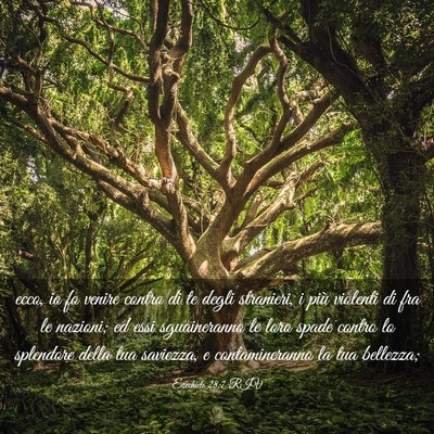 Picture 03 - Ezechiele 28:7 RIV - ecco, io fo venire contro di te degli stranieri, - Bible Verse Picture
