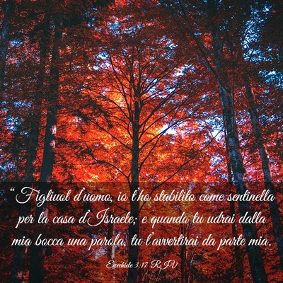 Picture 03 - Ezechiele 3:17 RIV - “Figliuol d’uomo, io t’ho stabilito come - Bible Verse Picture