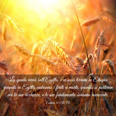 Picture 03 - Ezechiele 30:4 RIV - La spada verrà sull’Egitto, e vi sarà terrore - Bible Verse Picture