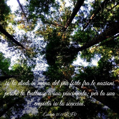 Picture 03 - Ezechiele 31:11 RIV - io lo diedi in mano del più forte fra le nazioni - Bible Verse Picture