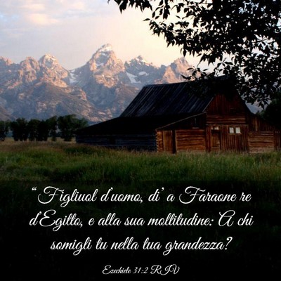 Picture 03 - Ezechiele 31:2 RIV - “Figliuol d’uomo, di’ a Faraone re - Bible Verse Picture