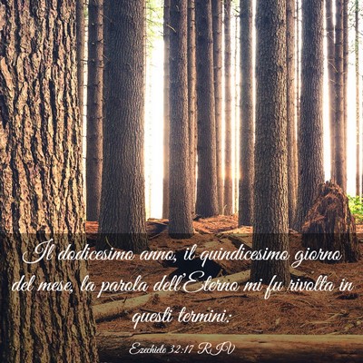 Picture 03 - Ezechiele 32:17 RIV - Il dodicesimo anno, il quindicesimo giorno del - Bible Verse Picture