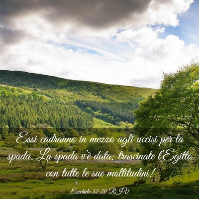 Picture 03 - Ezechiele 32:20 RIV - Essi cadranno in mezzo agli uccisi per la spada. - Bible Verse Picture