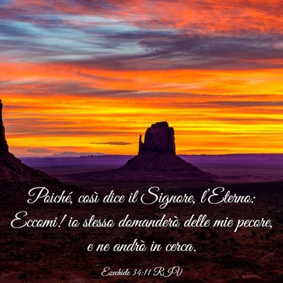 Picture 03 - Ezechiele 34:11 RIV - Poiché, così dice il Signore, l’Eterno: - Bible Verse Picture
