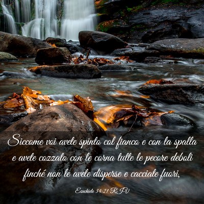 Picture 03 - Ezechiele 34:21 RIV - Siccome voi avete spinto col fianco e con la - Bible Verse Picture