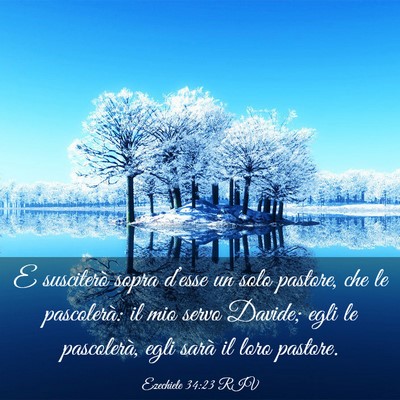 Picture 03 - Ezechiele 34:23 RIV - E susciterò sopra d’esse un solo pastore, che - Bible Verse Picture