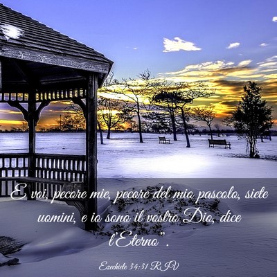 Picture 03 - Ezechiele 34:31 RIV - E voi, pecore mie, pecore del mio pascolo, siete - Bible Verse Picture