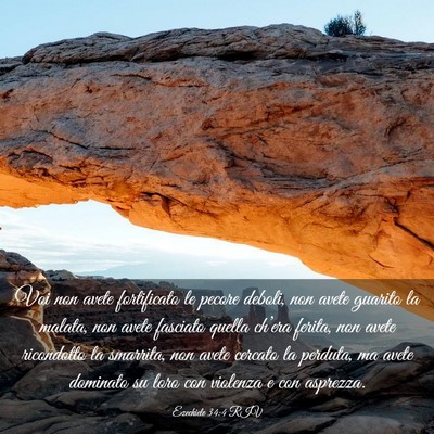 Picture 03 - Ezechiele 34:4 RIV - Voi non avete fortificato le pecore deboli, non - Bible Verse Picture
