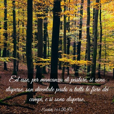 Picture 03 - Ezechiele 34:5 RIV - Ed esse, per mancanza di pastore, si sono - Bible Verse Picture