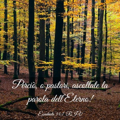 Picture 03 - Ezechiele 34:7 RIV - Perciò, o pastori, ascoltate la parola - Bible Verse Picture