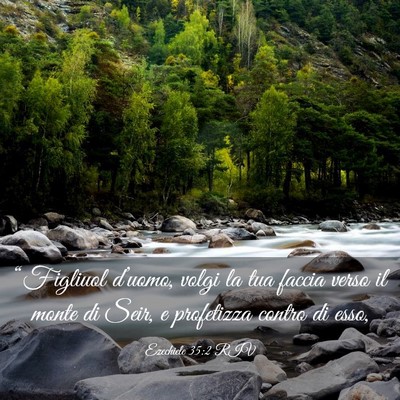 Picture 03 - Ezechiele 35:2 RIV - “Figliuol d’uomo, volgi la tua faccia verso - Bible Verse Picture