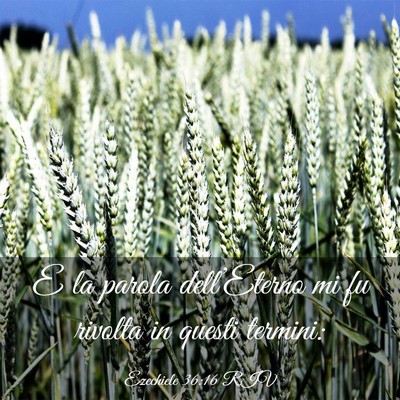Picture 03 - Ezechiele 36:16 RIV - E la parola dell’Eterno mi fu rivolta in questi - Bible Verse Picture