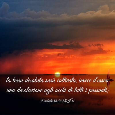 Picture 03 - Ezechiele 36:34 RIV - la terra desolata sarà coltivata, invece - Bible Verse Picture