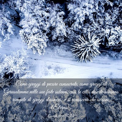 Picture 03 - Ezechiele 36:38 RIV - Come greggi di pecore consacrate, come greggi di - Bible Verse Picture
