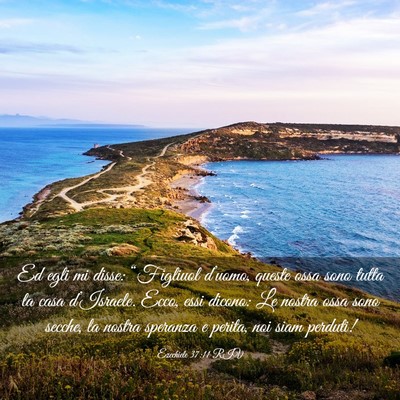Picture 03 - Ezechiele 37:11 RIV - Ed egli mi disse: “Figliuol d’uomo, queste - Bible Verse Picture