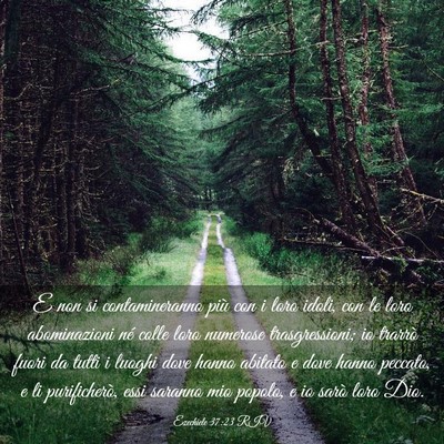 Picture 03 - Ezechiele 37:23 RIV - E non si contamineranno più con i loro idoli, - Bible Verse Picture