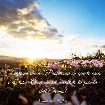 Picture 03 - Ezechiele 37:4 RIV - Ed egli mi disse: “Profetizza su queste ossa, e - Bible Verse Picture