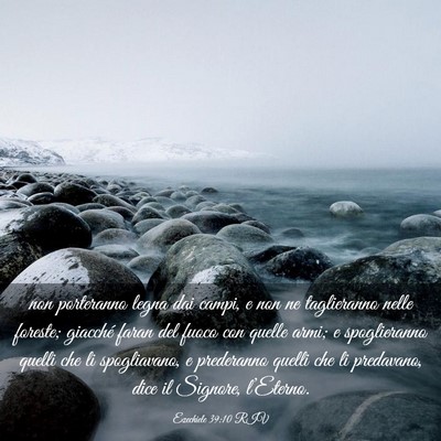 Picture 03 - Ezechiele 39:10 RIV - non porteranno legna dai campi, e non ne - Bible Verse Picture