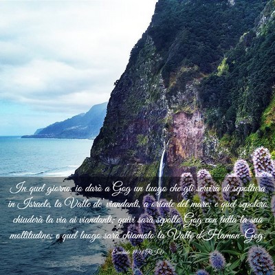 Picture 03 - Ezechiele 39:11 RIV - In quel giorno, io darò a Gog un luogo che gli - Bible Verse Picture