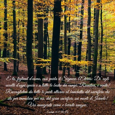 Picture 03 - Ezechiele 39:17 RIV - E tu, figliuol d’uomo, così parla il Signore, - Bible Verse Picture