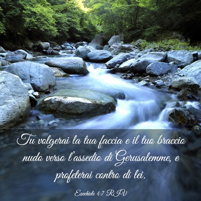 Picture 03 - Ezechiele 4:7 RIV - Tu volgerai la tua faccia e il tuo braccio nudo - Bible Verse Picture