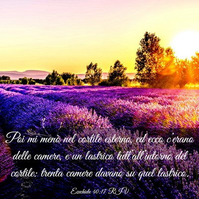 Picture 03 - Ezechiele 40:17 RIV - Poi mi menò nel cortile esterno, ed ecco - Bible Verse Picture
